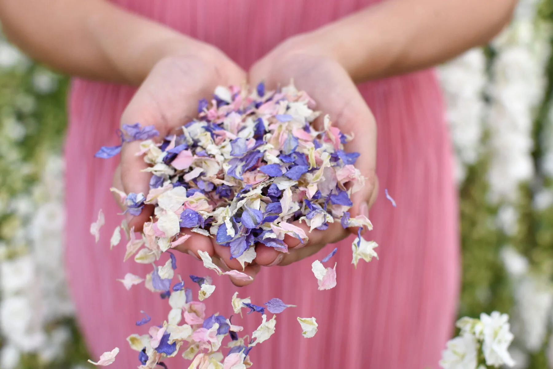 4 Shropshire Petal Confetti