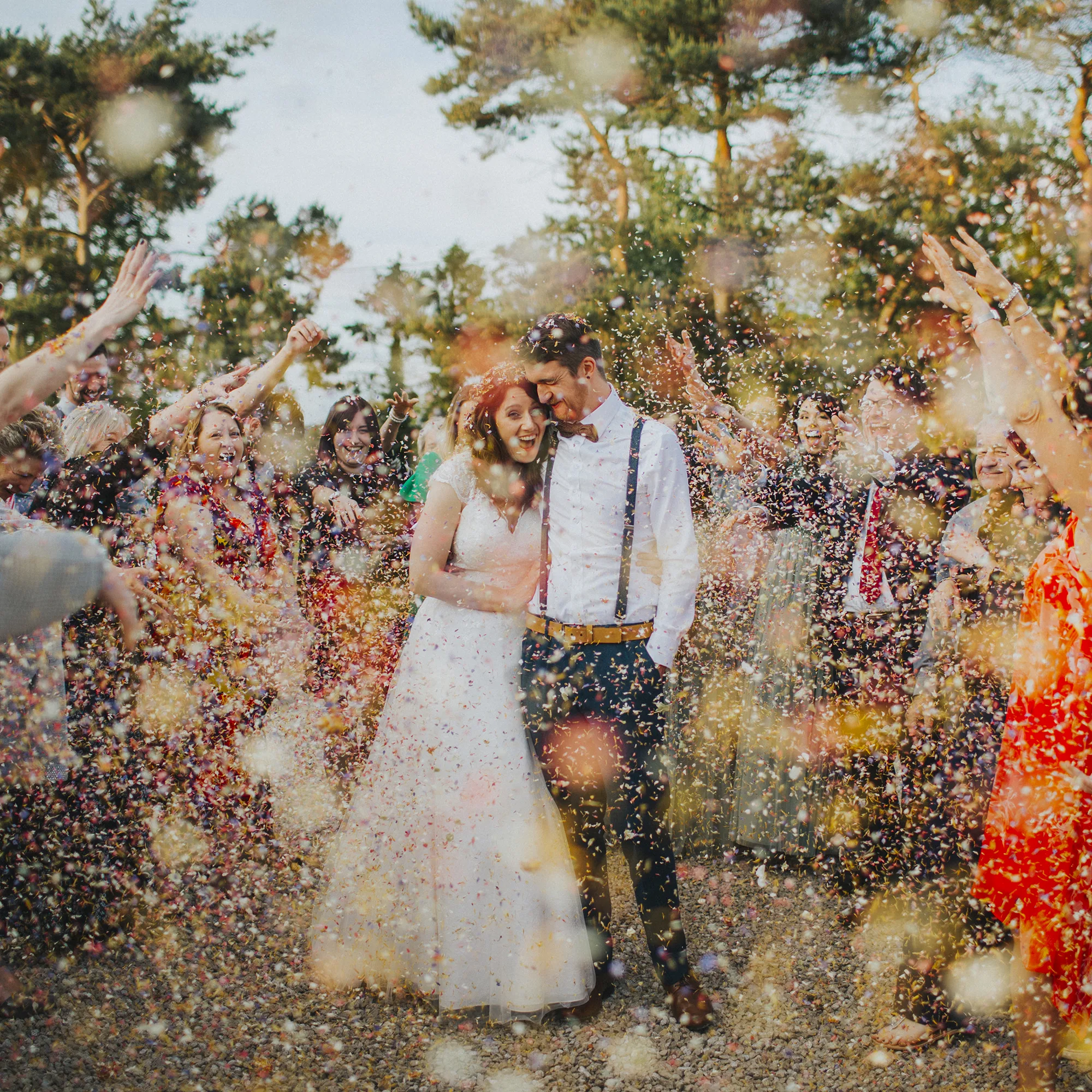 Shropshire Petals, real natural petal confetti