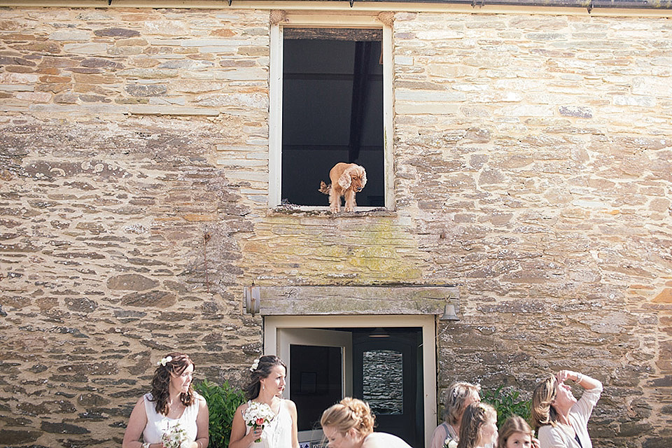 joseph hall photography, shilstone, devon weddings, jenny packham