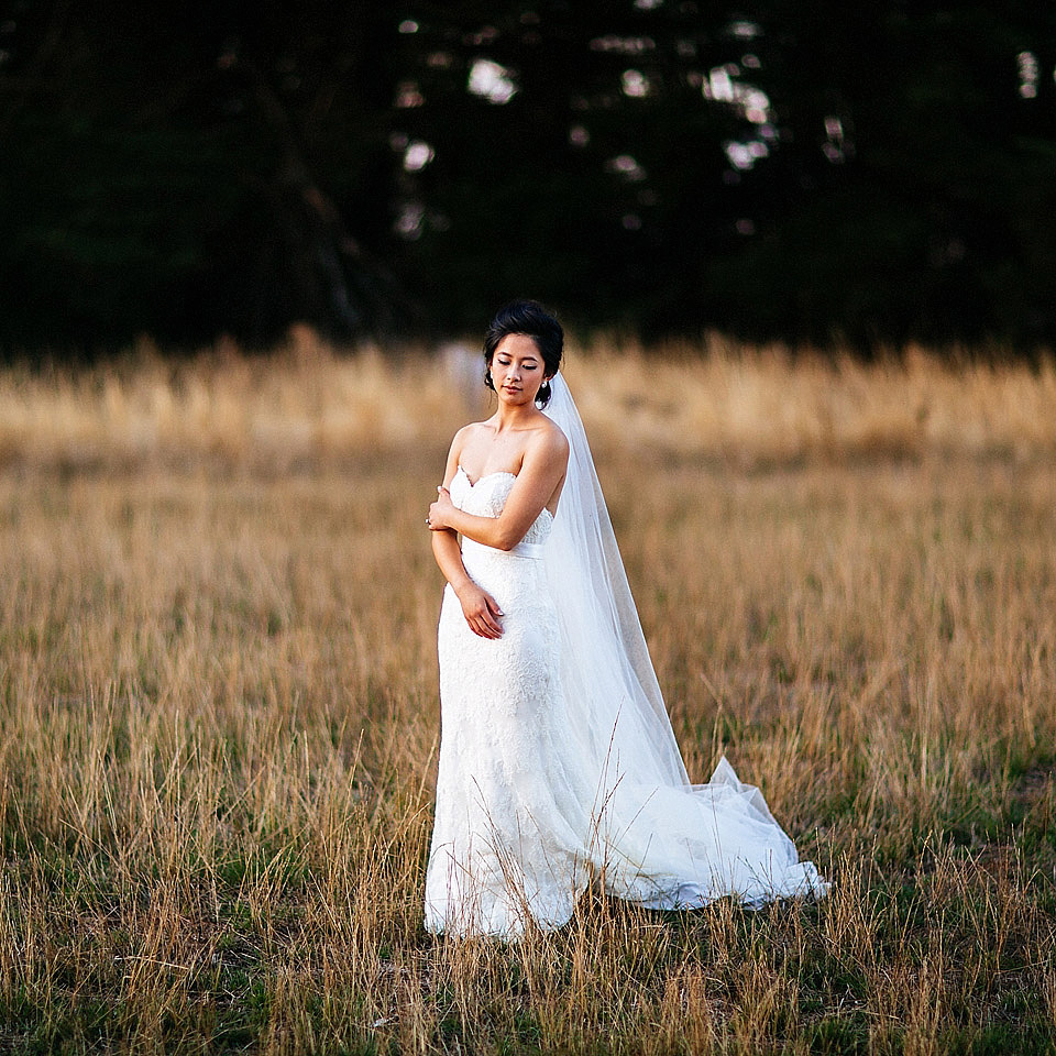 australian wedding, Baccini & Hill, Carla Zampatti, lakshal perera photography