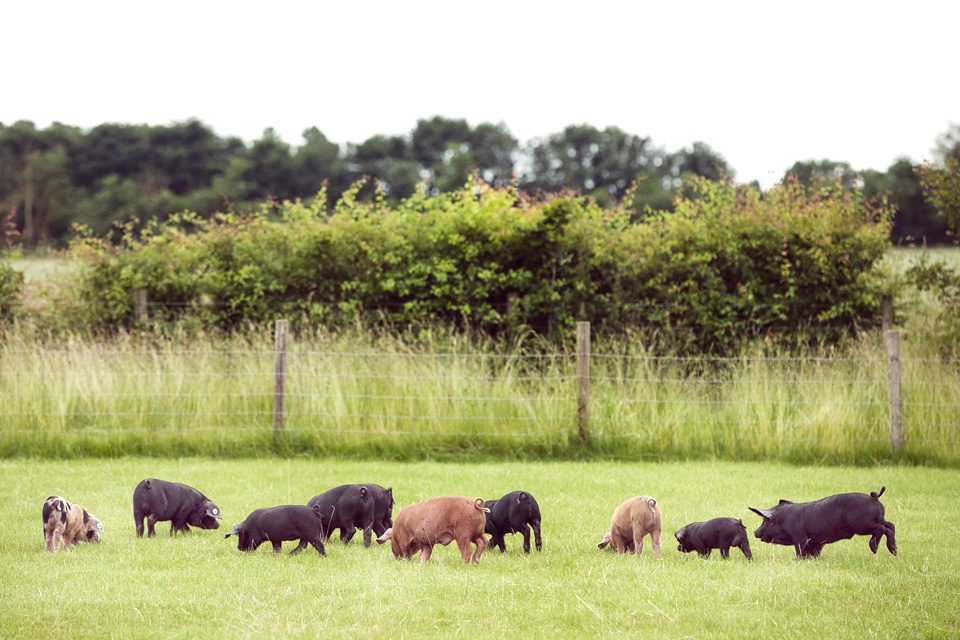 halfpenny london, south farm, flower crown, marianne ford photography