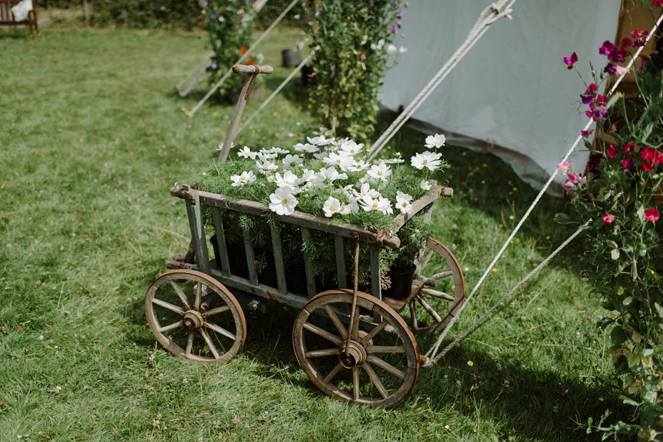 joanna hehir, kitchener photography, wedding in a field, homespun weddings