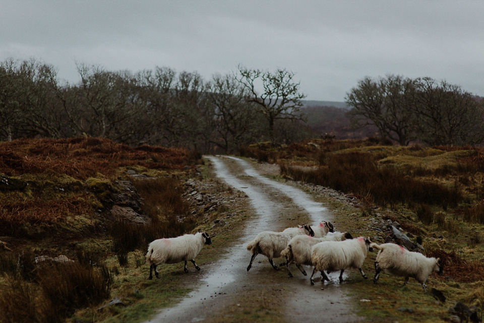 crear, scotland, kitchener photography, worldly nomad fimls, myrtle and bracken, midsummer nights dream