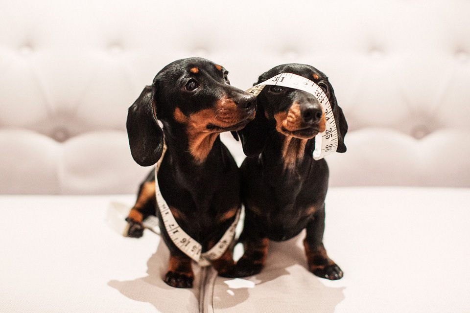 Tilly Trotter's Brides - a most beautiful bridal boutique supporting brides in Leamington Spa and Warwickshire. Visit tillytrottersbrides.co.uk Tilly Trotter's bridal boutique Leamington Spa Warwickshire