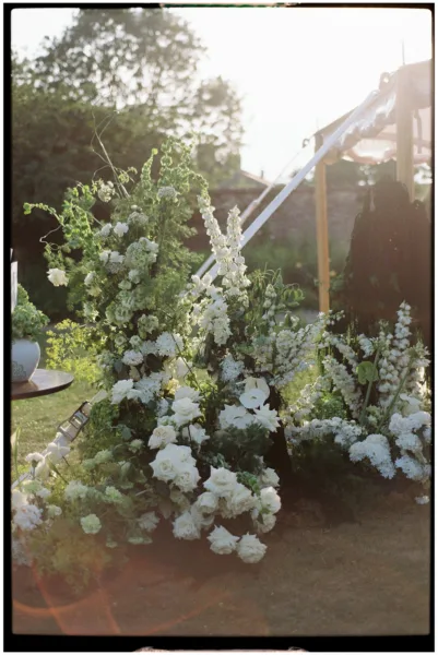 Georgina Harrison Photography