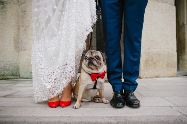 A Pretty Silk Petal Covered Wedding Dress and Pug in a Red Bow Tie