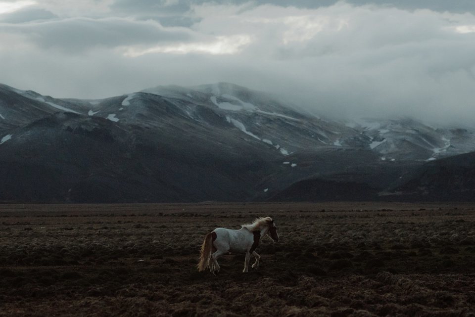 A wild and natural destination wedding in Iceland. Images by Kitchener Photography.