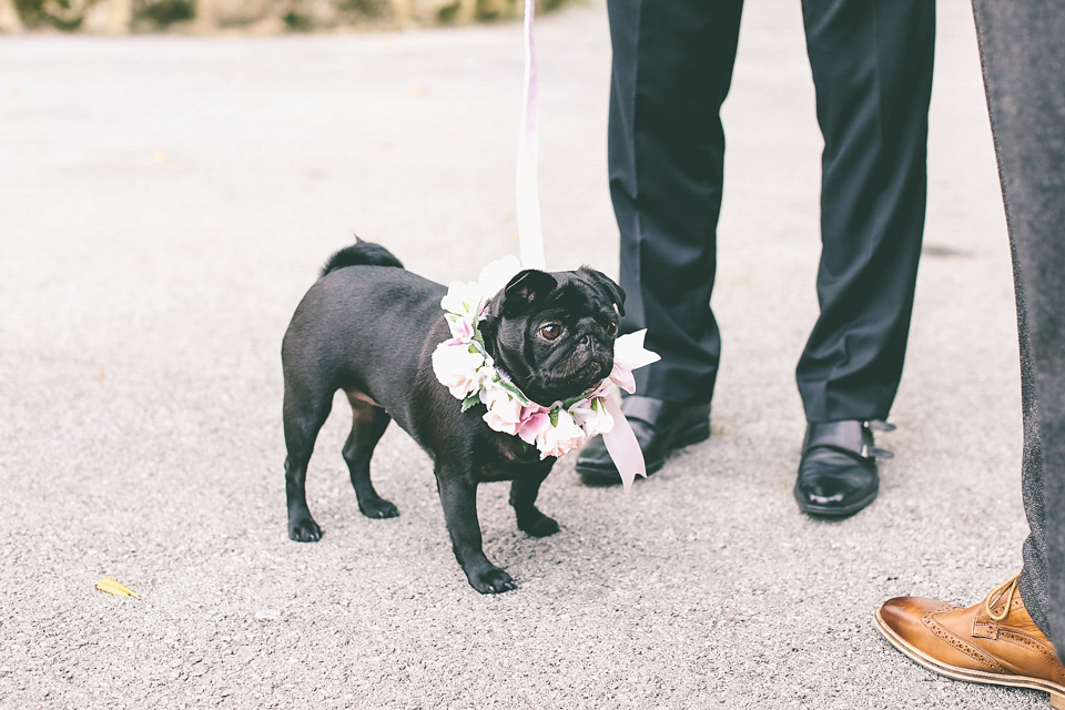 A Floral Gown and Pug Flowerdog for a Colourful and Vintage Inspired Black Tie Wedding, photography by Emma Boileau.
