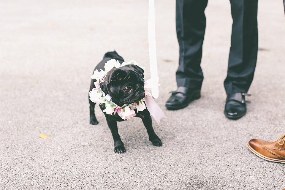 A Floral Gown and Pug Flowerdog for a Colourful and Vintage Inspired Black Tie Wedding, photography by Emma Boileau.