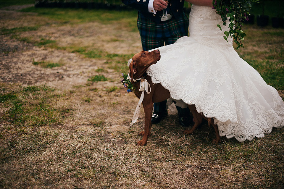 Tartan shoes and a Flowerdog for a Homemade Farm Wedding in Northumberland. Photography by Anna Urban.