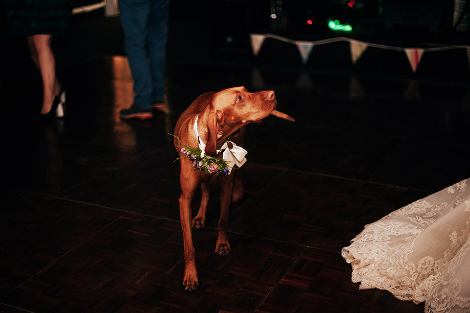 Tartan shoes and a Flowerdog for a Homemade Farm Wedding in Northumberland. Photography by Anna Urban.