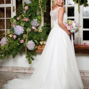 AW17080HiRes