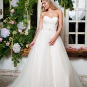 AW17120HiRes