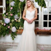 AW17165HiRes