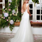 AW17264HiRes