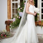 AW17595HiRes