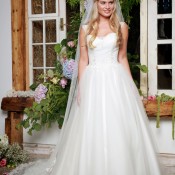 AW17844HiRes