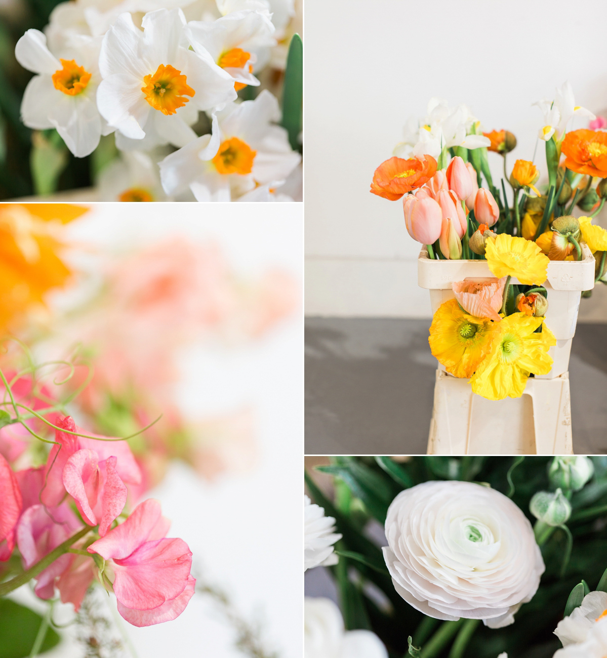 How to design your own wedding bouquet - advice from Georgia of Westwood Design. Images by Sarah Hannam Photography. How to design your own wedding bouquet - advice from Georgia of Westwood Design. Images by Sarah Hannam Photography.