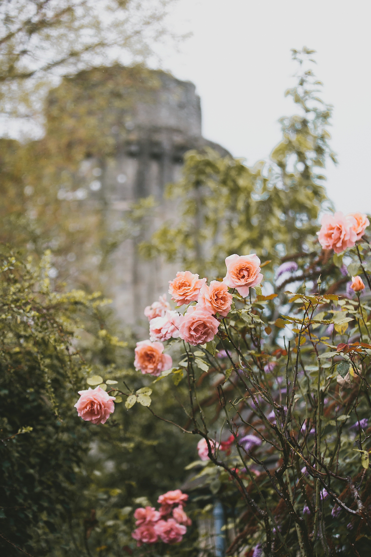 colourful relaxed somerset summer wedding 1 1