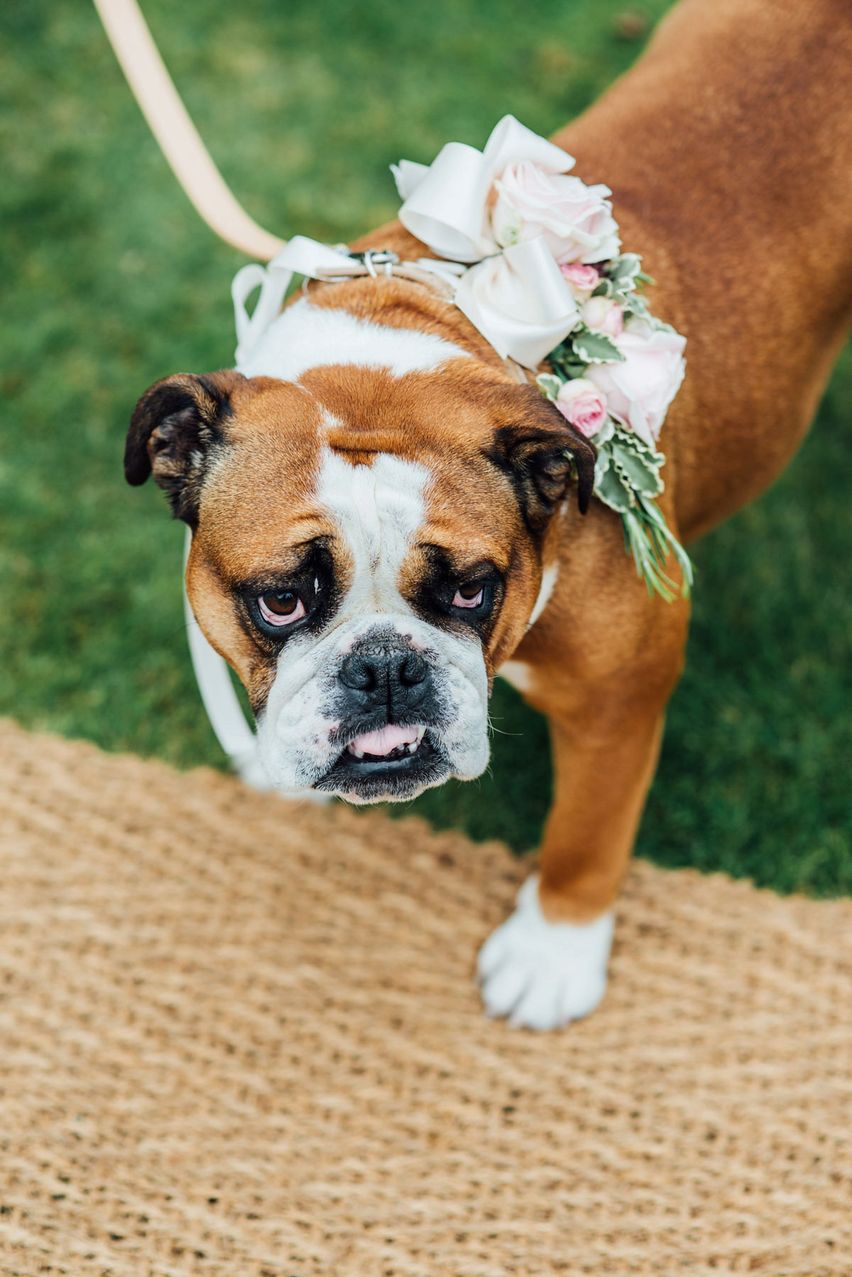 pale blue vera wang walled garden wedding 56 1