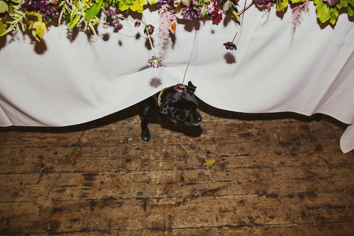 charlie brear dog friendly colourful warehouse wedding 67 1