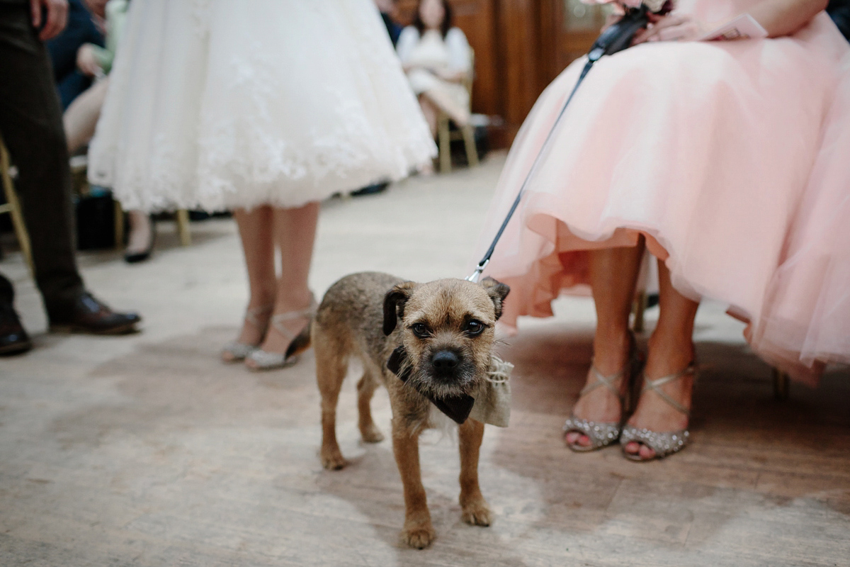mooshki bride dog at wedding 18 1