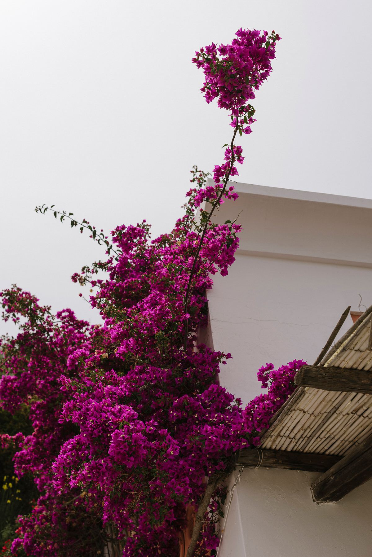 Thierry JOUBERT Photography Martha Alastairs Wedding PANAREA Island 002 1