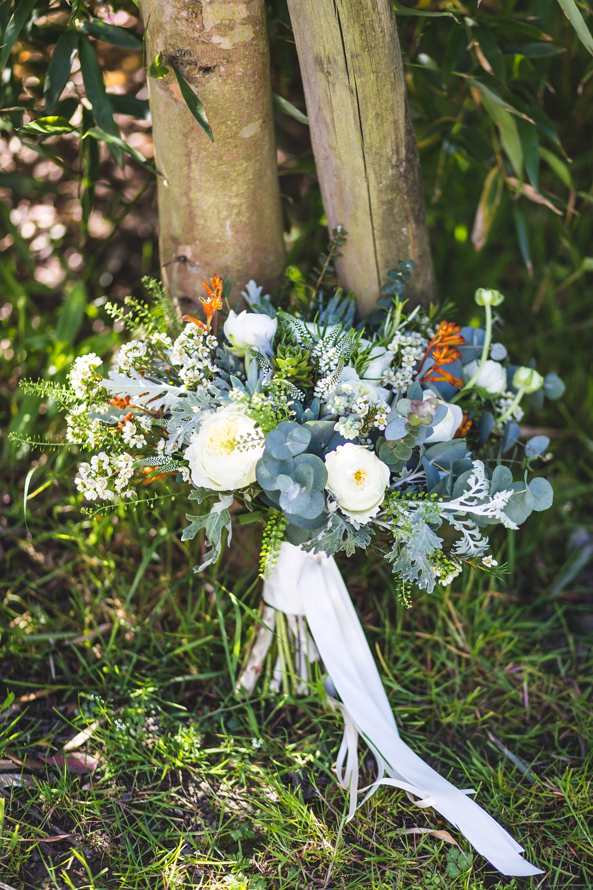 rue de seine family farm wedding 2