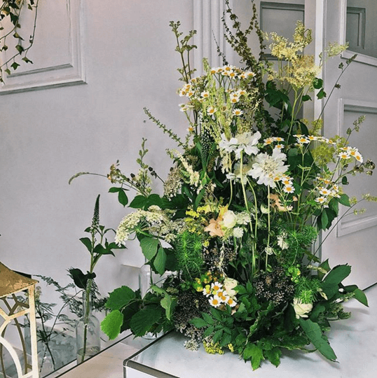 Hazel Gardiner Design