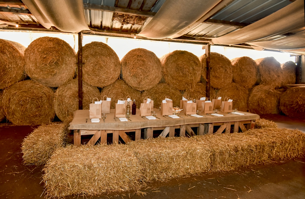 rustic farm wedding 38