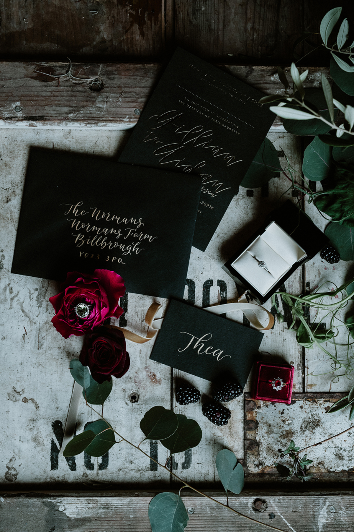 1 A Dark Romance an editorial shoot featuring Marylise gowns at The Normans wedding venue in York