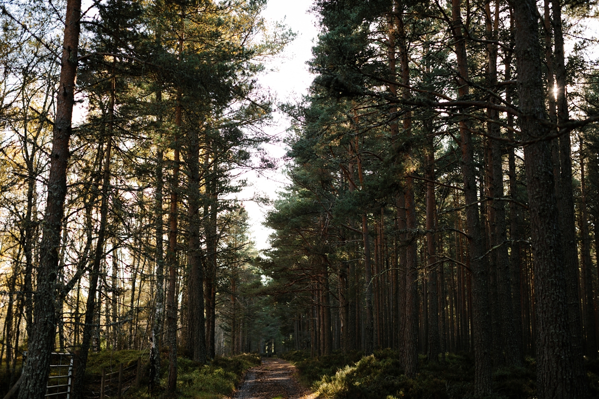 16 A Humanist handfasting wedding in the Woods Dell of Abernethy Inverness Scotland