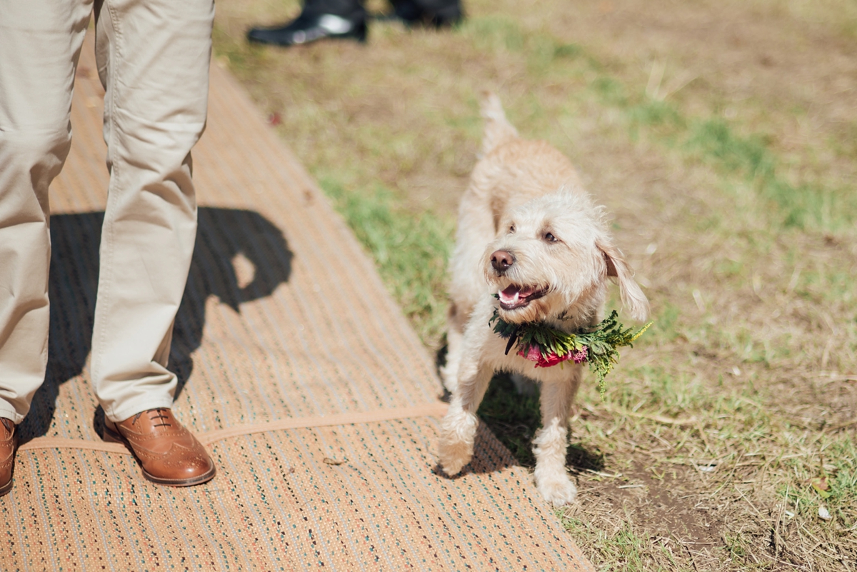 27 A handmade and natural outdoor wedding in Devon