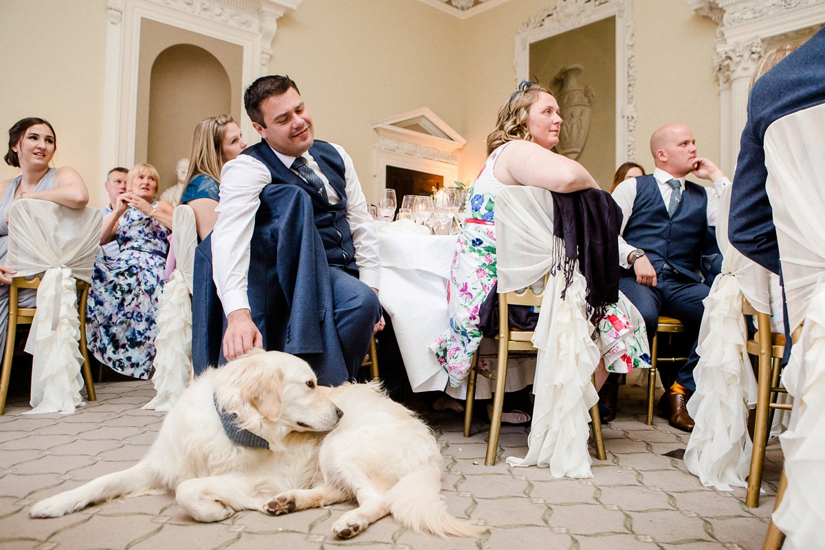 34 An elegant Pronovias gown for a classic country house wedding - A Pronovias Gown For A Classic Country House Wedding an a Sweet Appearance by Eric the Pet Dog 34 An elegant Pronovias gown for a classic country house wedding