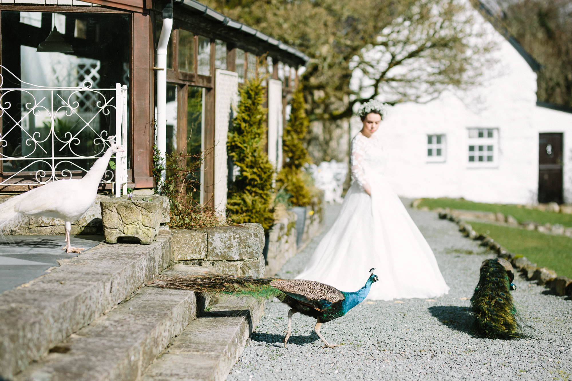 Talhenbont 155 - Peach Elegant Country House Wedding Inspiration for the Modern Classic Bride Talhenbont 155