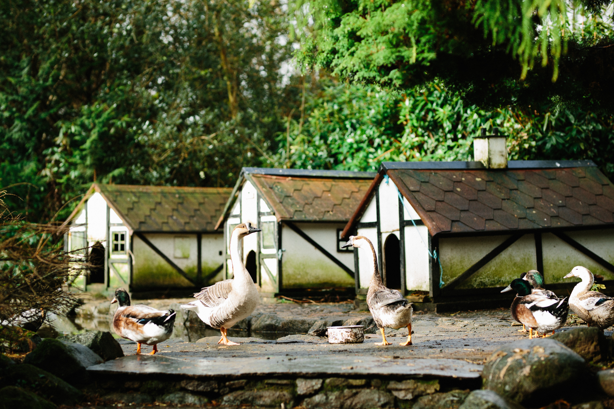 Talhenbont 31 - Peach Elegant Country House Wedding Inspiration for the Modern Classic Bride Talhenbont 31