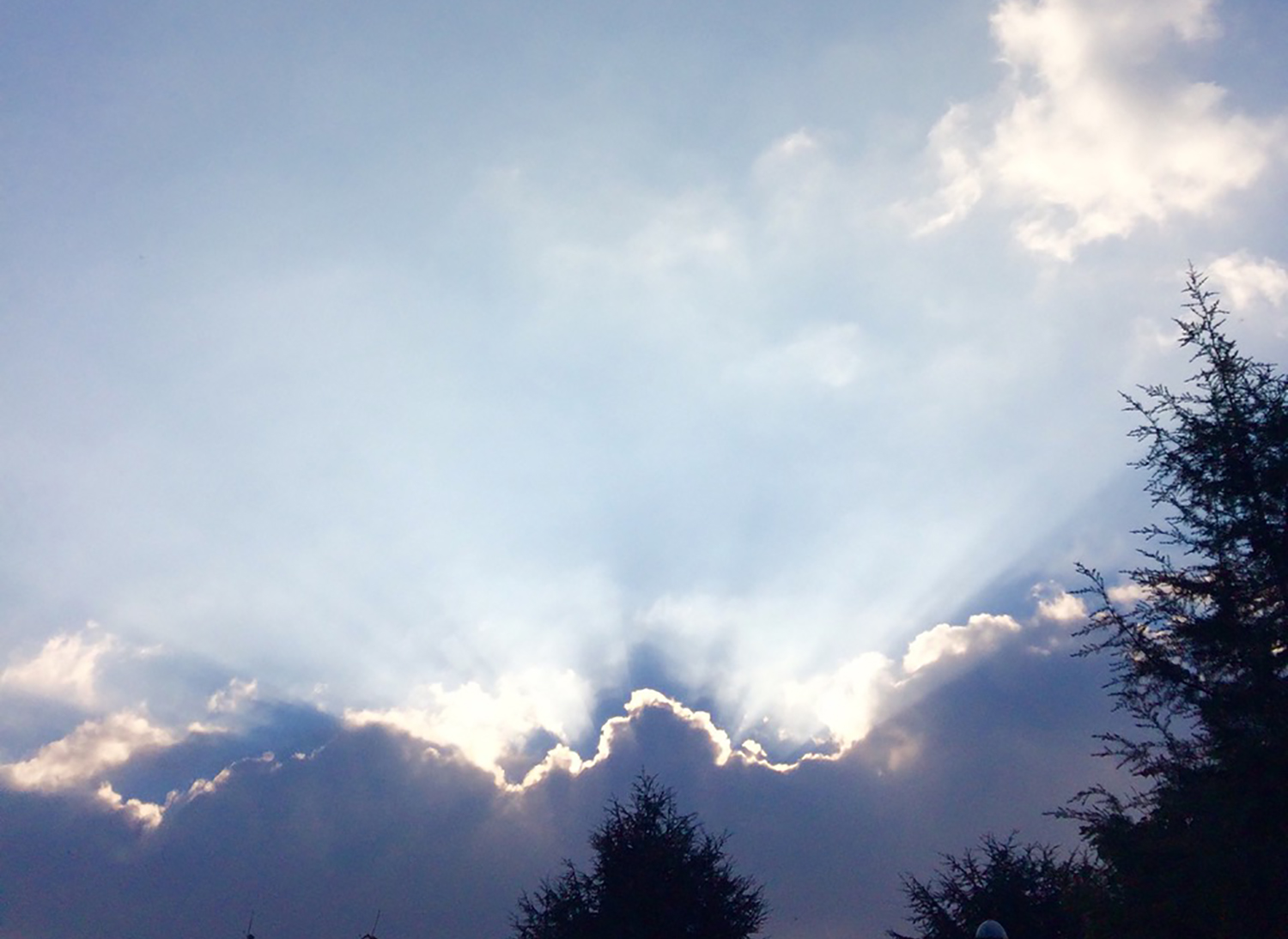 ExternalLink clouds dementia - What Do I Do Now? ExternalLink clouds dementia