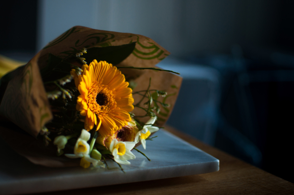 Surviving Domestic Abuse and Coercive Control