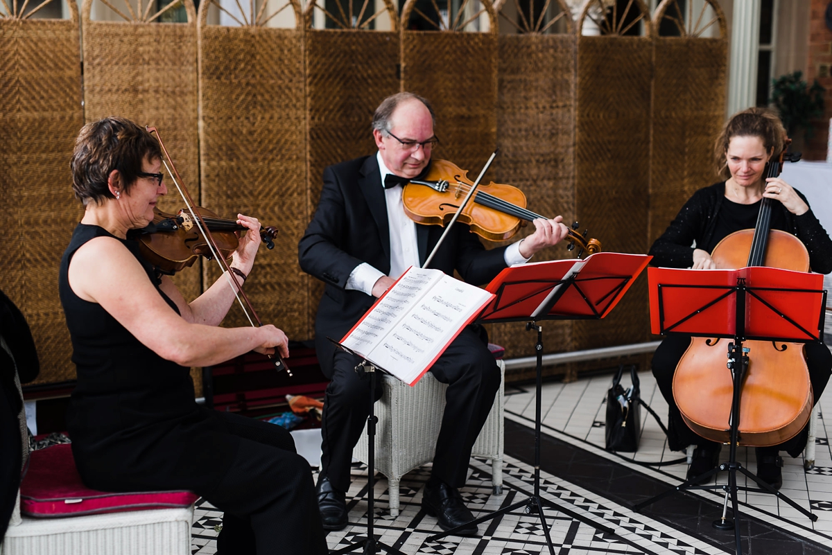 5 String trio playing at a wedding