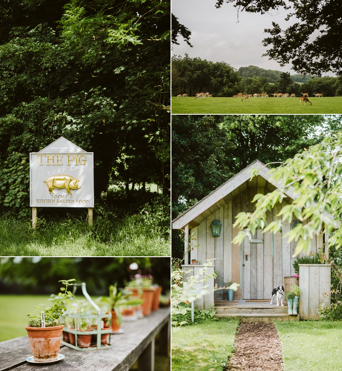 1 A Halfpenny London bride her wedding at The Pig hotel near Bath. Photography by John Barwood.