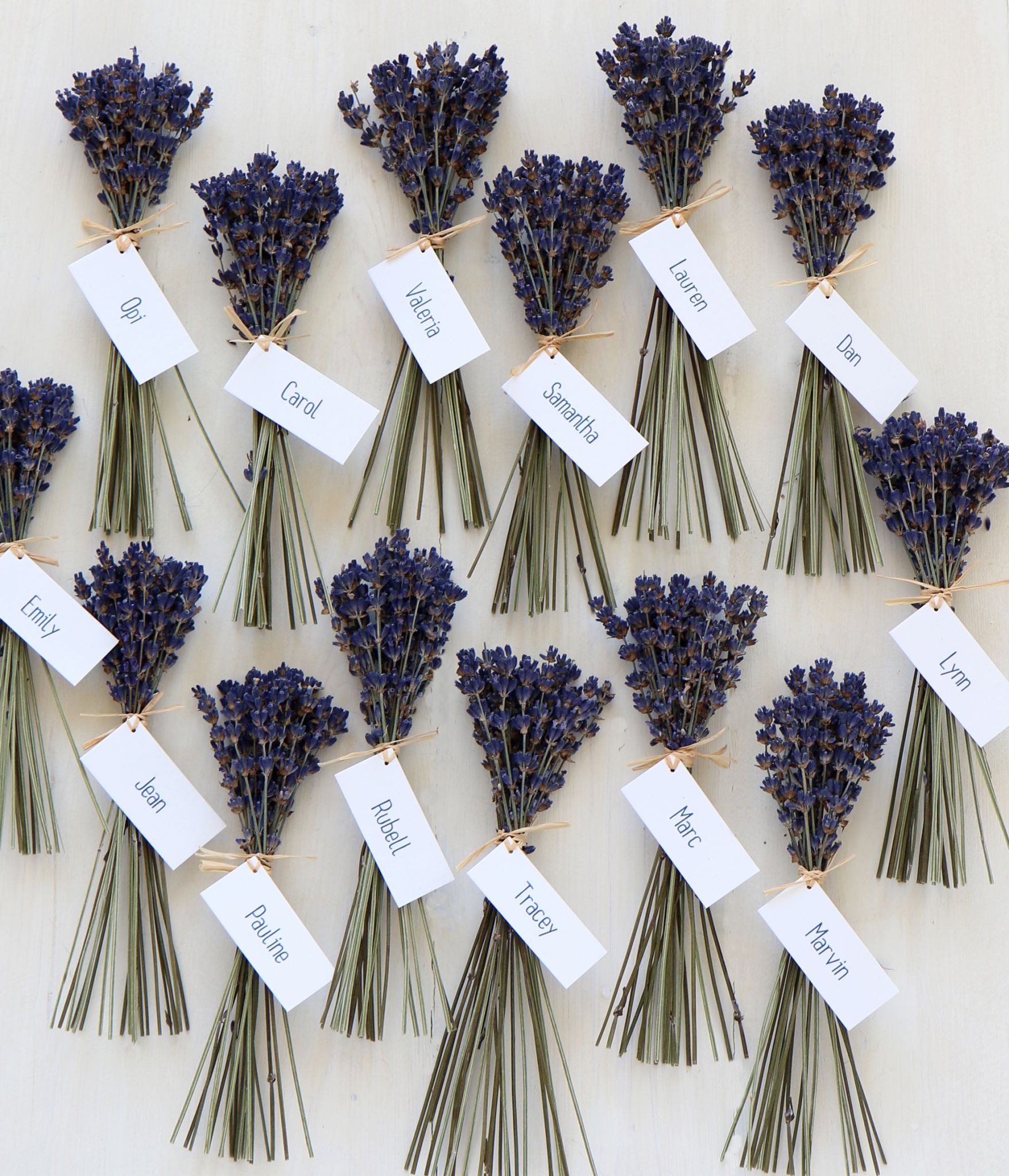 Little Book Wedding Directory Paper Tree 1