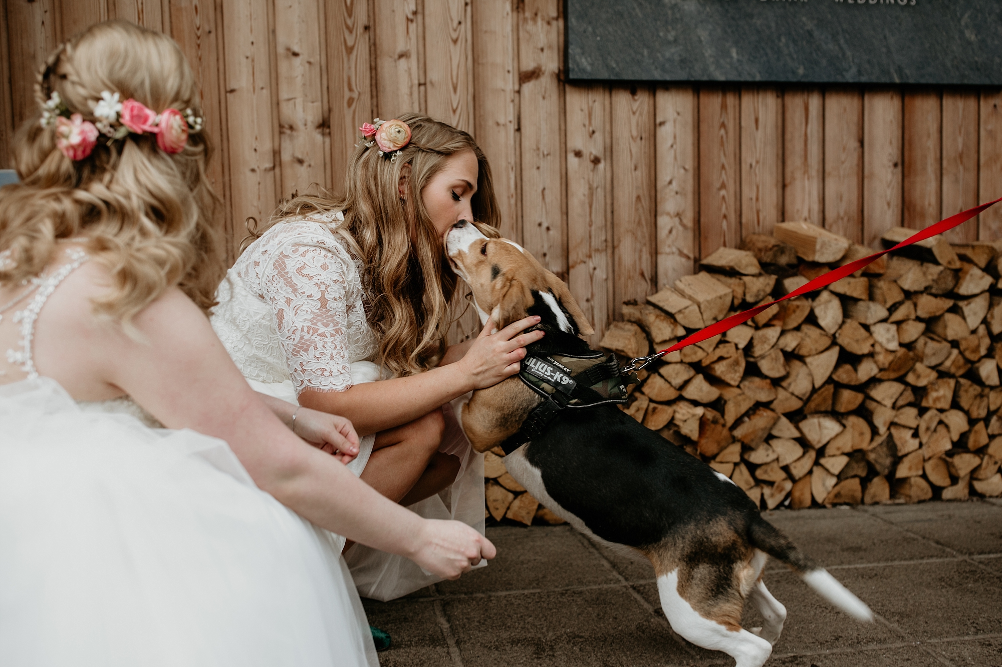 01 Pet dog at a wedding