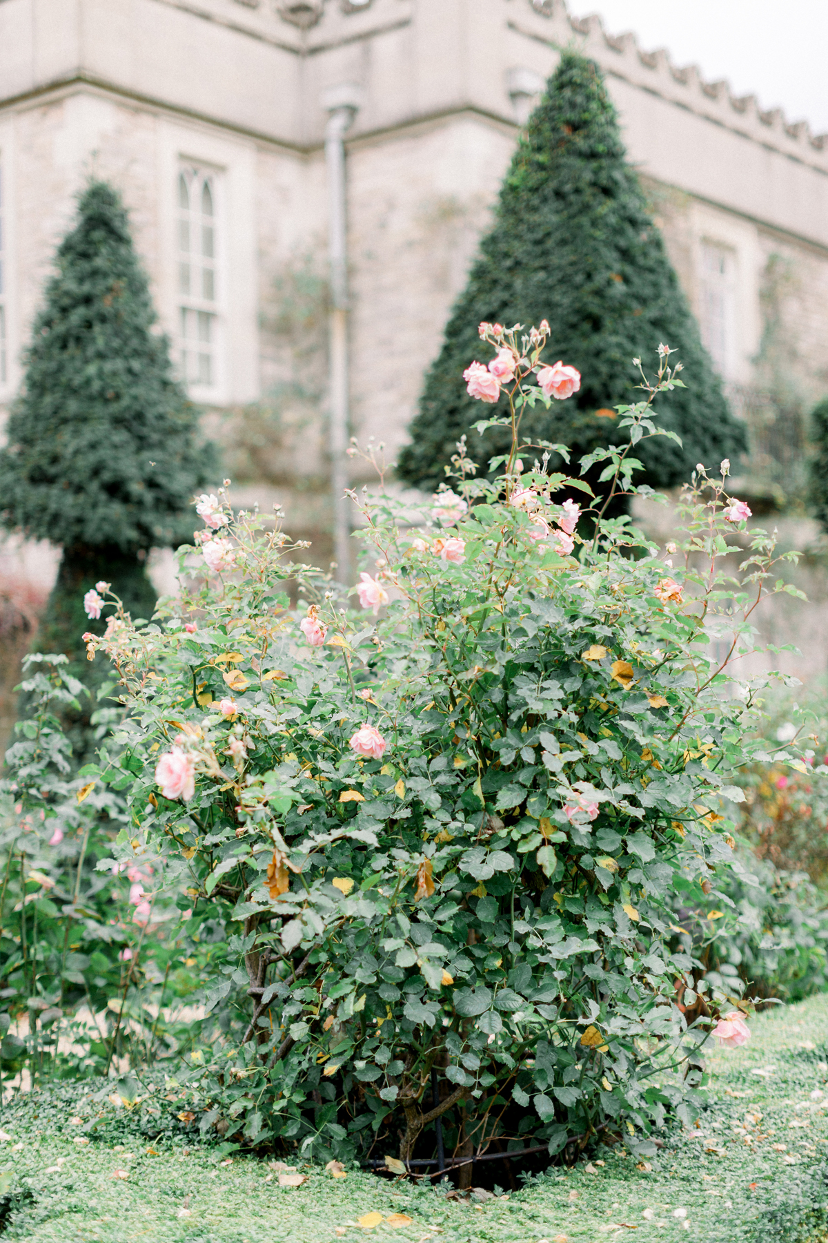 94 Unique Home Stays The Lost Orangery Wedding Venue - The Lost Orangery, via Unique Home Stays: Elegant Autumn Garden Wedding Inspiration 94 Unique Home Stays The Lost Orangery Wedding Venue