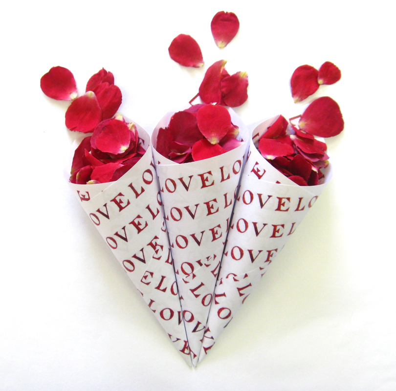 Natural petals The Real Flower Petal Confetti CompanyConfetti Cones 1