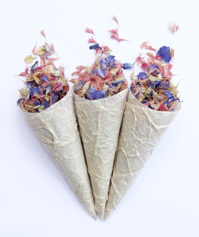 Natural petals The Real Flower Petal Confetti CompanyConfetti Cones 2