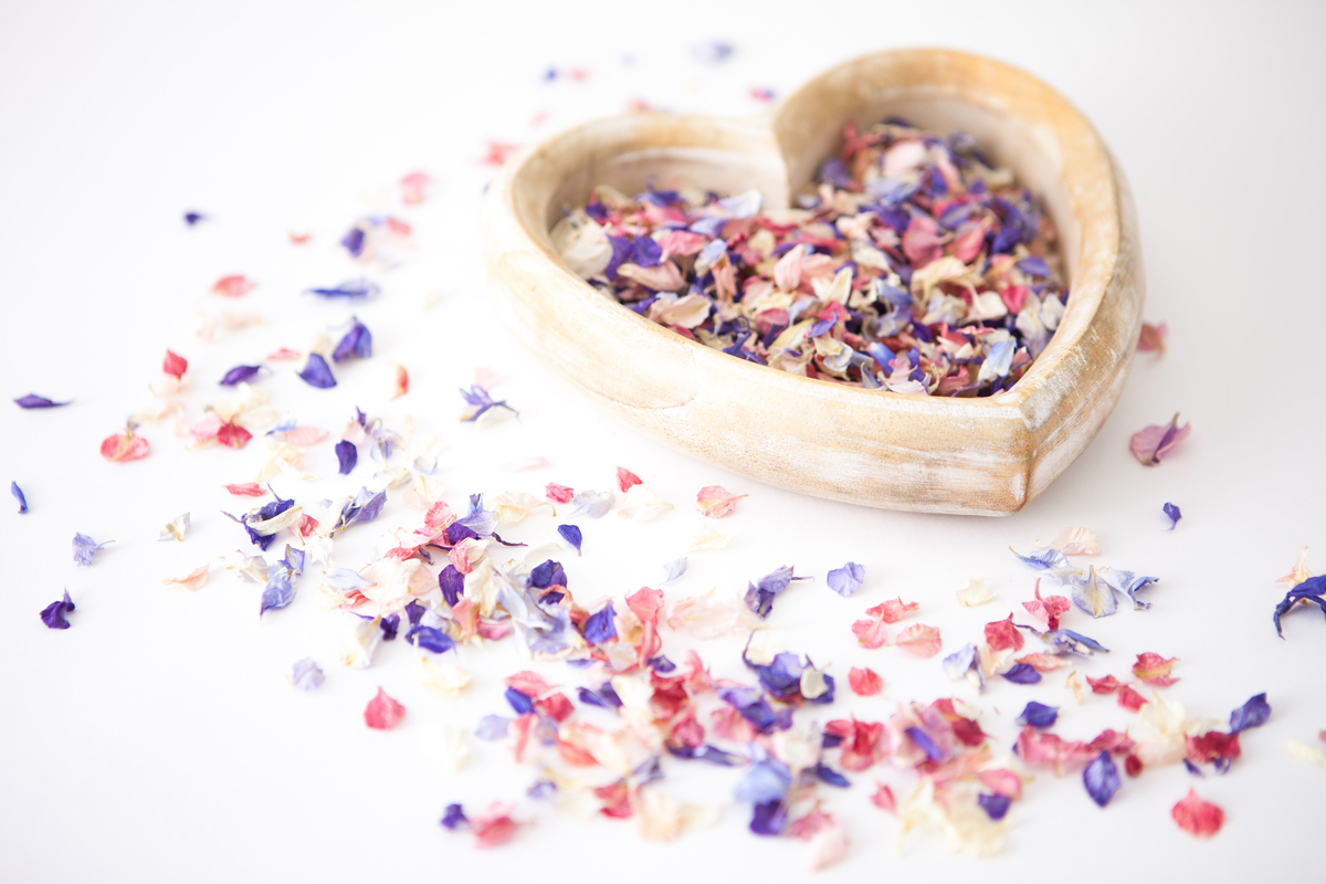 Natural petals The Real Flower Petal Confetti CompanyDelphinium Petals