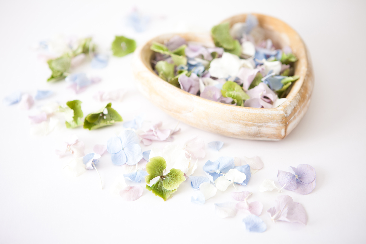 Natural petals The Real Flower Petal Confetti CompanyHydrangea Petals