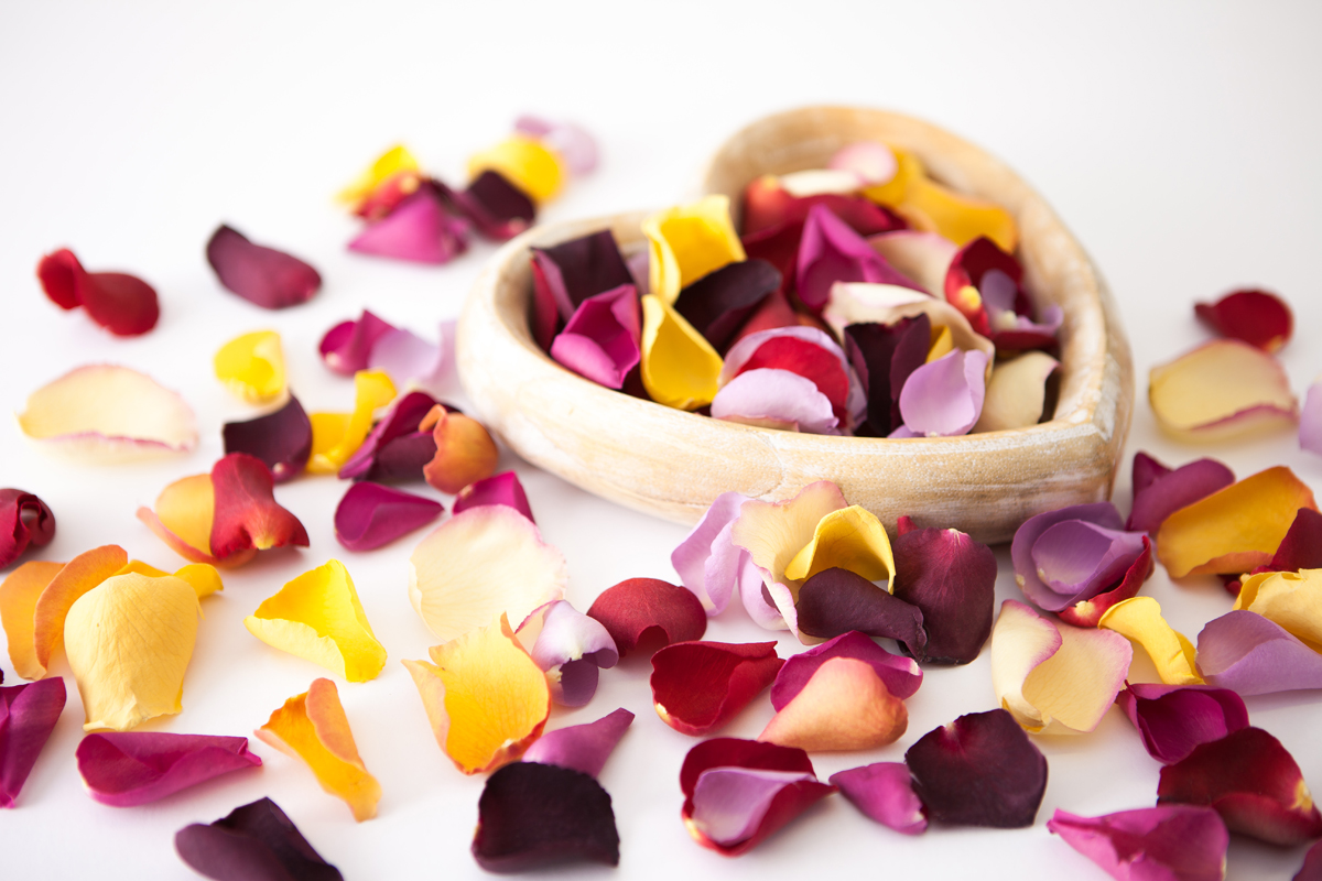 Natural petals The Real Flower Petal Confetti CompanyLarge Natural Rose Petals