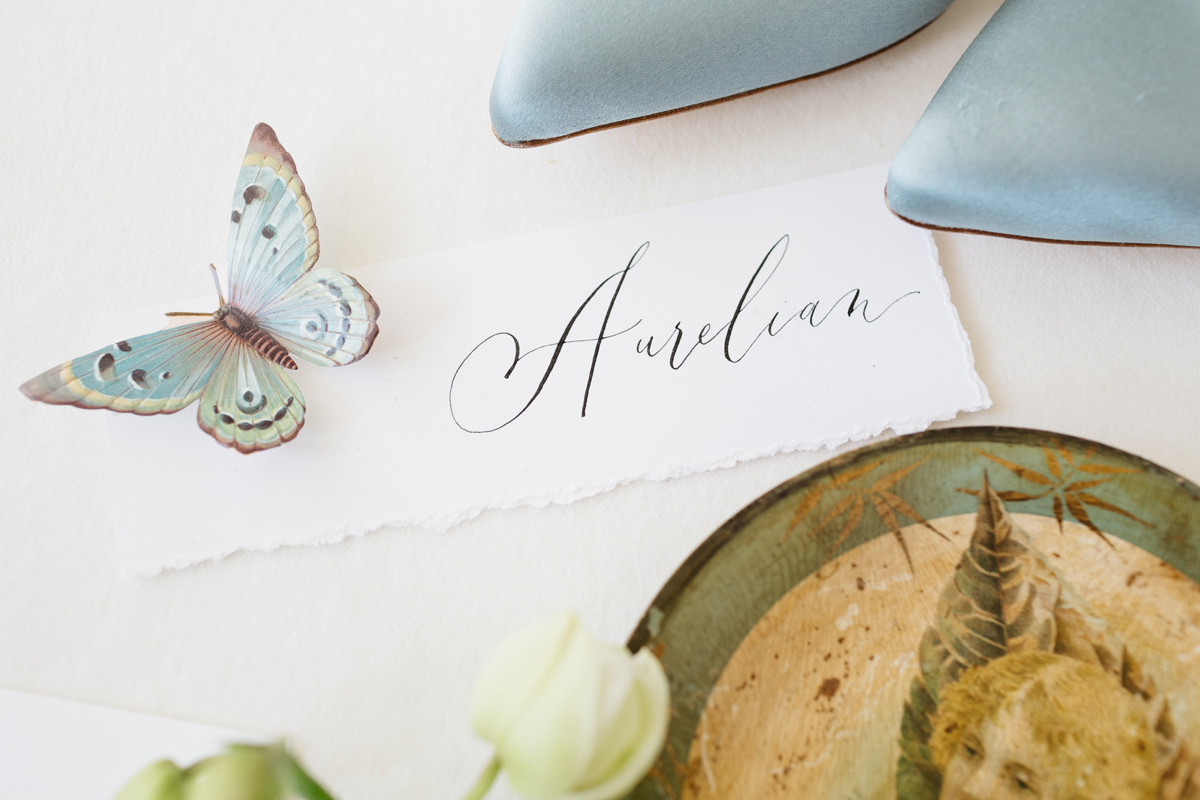 The Aurelian butterflies moths inspired styling by Kate Cullen Bowtie Belle Photography 3
