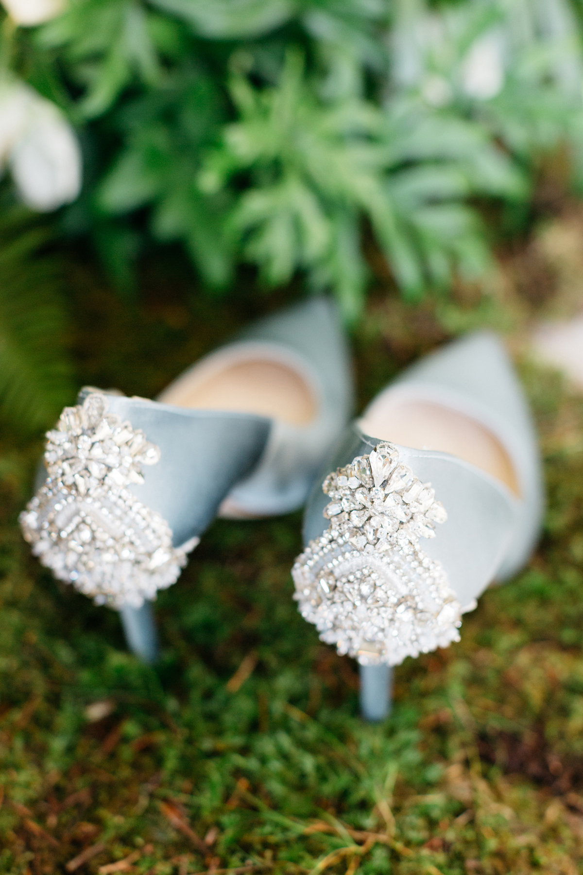 The Aurelian butterflies moths inspired styling by Kate Cullen Bowtie Belle Photography 8